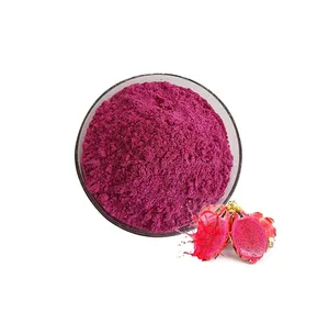 Hot Selling Beste Kwaliteit Pure En Natuurlijke Dragon Fruit Extract Poeder Voor Super-Food Dranken Koekje En Snoep Tegen Bulk Prijs