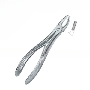 Pince d'extraction de dents dentaires de qualité supérieure Fig.139 Instruments dentaires en acier inoxydable avec logo personnalisé - Product Image 6