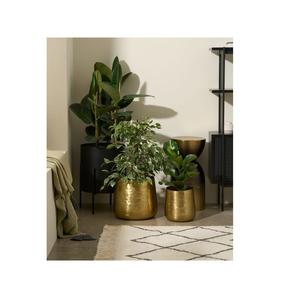 Jardinière en laiton plaqué or de qualité supérieure pour jardin décoration intérieure et extérieure Pot élégant - Product Image 1