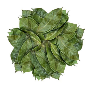 ใบทุเรียนเทศแห้งเหมาะสำหรับแช่ใบทุเรียนเทศแห้งแบบพรีเมี่ยมที่ใช้ในการผสมชา - Product Image 1