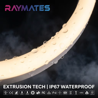 Bande LED flexible IP67 étanche extrusion Smart LED bande LED COB 12V 4000K haute CRI 90 pour les lieux publics de rue