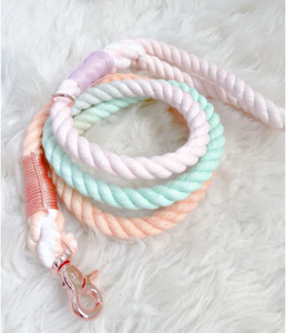 <b>Dog</b> Rope <b>Leash</b>- Sherbet - Product Image 4
