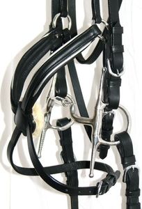 Bride mexicaine rembourrée de confort allemand 8 Muserolle Bridle SILVER PIPING en cuir de haute qualité - Product Image 5