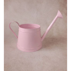 Lata de agua de diseño clásico, latas de agua galvanizadas, lata de agua de tamaño personalizado de alta calidad para accesorios de decoración de jardín - Product Image 2