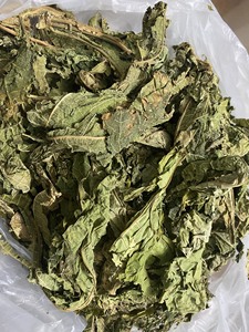 ใบมะละกอแห้งสำหรับผลิตเบียร์การสกัดและเครื่องดื่มเกรดสูงใบแห้งพร้อมกลิ่นหอมสดจากเวียดนาม - Product Image 5