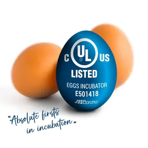 Volteador de huevos automático para incubadoras de la serie semiautomática Real 24/49 Nuevo 2 años de garantía Volteador de huevos Hecho en Italia - Product Image 6