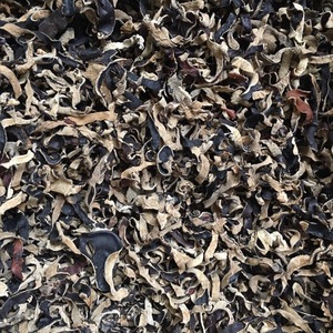 เห็ดหูหนูดำแบบแห้งสำหรับส่งออก - Product Image 3