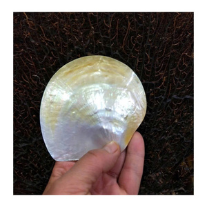 จานและช้อนทำจากมุกแท้ เหมาะสำหรับตกแต่ง รับประทานอาหาร และจัดเก็บ จานมุกทรงกลมสำหรับใช้งานได้หลากหลาย - Product Image 6