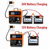 Chargeur de batterie de voiture personnalisable 12V/24V 65A avec réparation par impulsions
