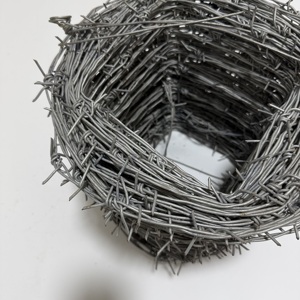 Filo Spinato Doppio in Ferro Zincato di Alta Qualità 2,2mm, Disponibile in 500mm e 700mm, Recinzione di Sicurezza Durevole per Fattoria e Giardino - Product Image 6