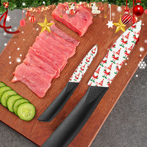 Couteau de chef en céramique japonaise, 9 pièces, pour la préparation de sushis et de la cuisine asiatique, poignée en plastique ambidextre, passe au lave-vaisselle - Product Image 3