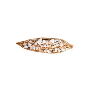 Semillas de Baobab orgánicas para la agricultura, aceite en polvo de grado nutricional y frutas al por mayor para bebidas - Product Image 1