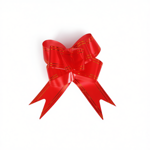 Rubans cadeaux BUN - Product Image 2