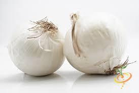 Vente flash à prix de gros abordable, nourriture saine, nouvelle récolte, oignon blanc frais, qualité supérieure - Product Image 5