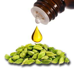 Huile essentielle de cardamome pure de qualité cosmétique, distillée à la vapeur, certifiée GMP, pour la fabrication de parfums, diffuseurs à bâtonnets, bougies et soins de la peau - Product Image 3