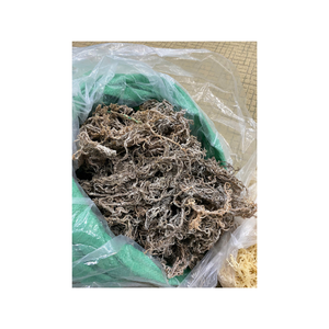 Algas Cottonii secas orgánicas de Vietnam con alto valor nutricional, ideales para aditivos alimentarios y agentes espesantes naturales - Product Image 1