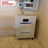 Système de stockage d'énergie domestique LiFePO4 51,2 V 314 Ah 15 kWh avec BMS intelligent, montage mural, 6000 cycles, pour la sauvegarde de toute la maison