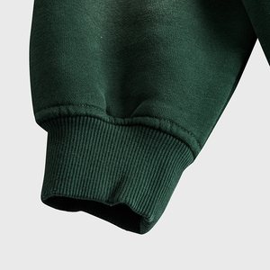 Pull-over en coton polaire épais unisexe Sweatshirts à capuche surdimensionnés Streetwear imprimé logo personnalisé pour l'hiver Vente en gros en vrac - Product Image 5