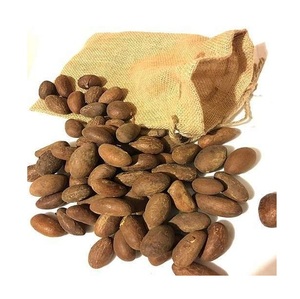 Noix de Kola amère / Noix de Garcinia / Noix de Kola fraîches naturelles - Product Image 1