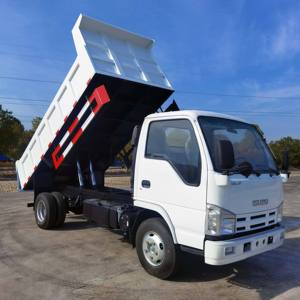 รถบรรทุก Isuzu-ELF มือสอง 5 ตัน 4x2 ยูโร 6 ปี 2022 ระยะทาง 25001-50000 ไมล์ รถดัมพ์ - Product Image 4