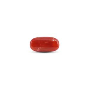 Coral rouge japonais 7,3 carats, pierre brute, taille ovale, poli, pierre précieuse naturelle avec matériau synthétique, hauteur 8 mm - Product Image 2