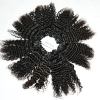 Extensions ondulées 100 % naturelles non traitées, cheveux humains vierges indiens à cuticules alignées, double trame, tissage machine, lots de mèches ondulées