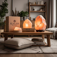 Lampe de sel de l'Himalaya naturelle certifiée GMP, 2-3 kg, écologique, faite à la main, avec cordon électrique, ampoule en forme de fleur, Feng Shui, animal, ange, décoration intérieure
