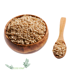 Coconut Bowl, Eco Friendly Coconut Bowl, African Bowl, Natural Coconut Bowl, Vegan Coconut Bowl Vietnam - Product Image 6