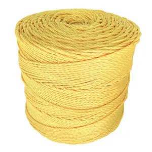 Grosir Pabrik langsung OEM warna-warni tali puntir 3 untai tali PP kuning untuk membuat jaring trawl dan tujuan memancing