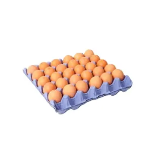 Hot Sale Farm Fresh Chicken Table Eggs Brown and White Shell Chicken Eggs in stock