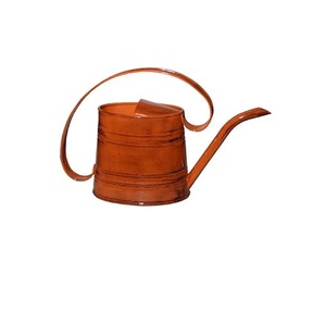Top tendance Cuivre Placage Eau Peut Meilleure Qualité Fer Métal Nouveau Design Forme Personnalisée Arrosoir Pour La Maison Jardin Utilisation Quotidienne - Product Image 1