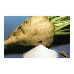 Vente en gros de sucre de betterave Icumsa 45 de haute qualité granules de sucre de canne raffiné meilleur matériau emballage en vrac à prix réduit - Product Image 1