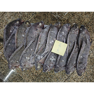 Pescado Tilapia Congelado BQF |   Precio de Exportación Competitivo |   Suministro para Compradores Mayoristas de Mali - Product Image 1