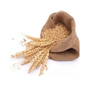High Quality <b>Wheat</b> Grain From Ukraine 1grade 2grade 3grade 6grade World Wide Delivery Available at Low Cost Package in 25kg B - Product Image 1