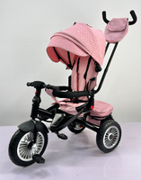 WQL Nouveau Tricycle de Luxe pour Enfants avec Cadre Métallique, Pare-Soleil et Barre de Poussée / Tricycle à 3 Roues pour Enfants, Poussette Pliante pour Enfants