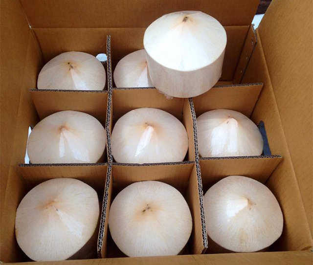 Wholesale High Quality Fresh Coconut Water Export Large Quantities From Vietnam