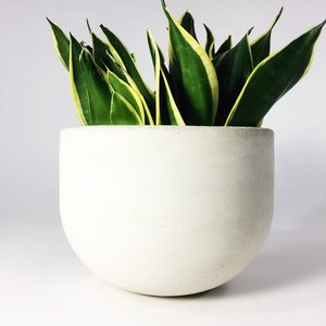 Maceta de hormigón de diseño moderno, Color blanco para el hogar, balcón, jardín, interior y exterior, maceta decorativa de hormigón - Product Image 5