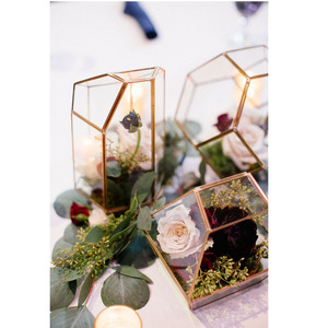 Terrariums en verre modernes exclusifs, nouvelle arrivée, très demandés, bordure en laiton, forme triangulaire, finition personnalisée faite à la main, noir - Product Image 4