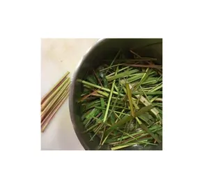 Dried Lemongrass Leaves - Dried Lemongrass Leaf good quality