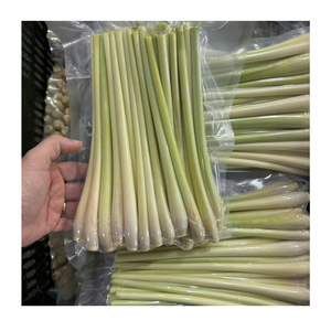 100% Citronnelle naturelle fraîche congelée du Vietnam Culture crue d'OGM Légumes surgelés certifiés halal certifiés IQF - Product Image 1
