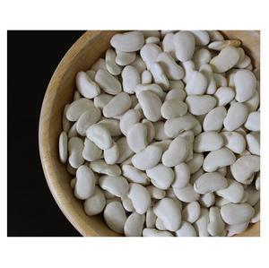 Fournisseur de gros de haricots de Lima en vrac avec livraison rapide - Product Image 4
