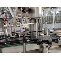 Machine de remplissage de scellage et de sertissage de canettes en aluminium automatique industrielle Offre Spéciale pour boissons gazeuses disponible au meilleur prix