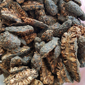 Fruit naturel séché noni meilleure vente de fruits secs morinda citrifolia fournis par la meilleure usine du Vietnam - Product Image 6