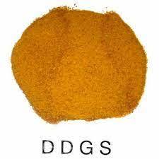 12% Max Humedad 50% Max Proteína Maíz Destiladores Granos secos con Soluble (DDGS) como alimento animal de alta calidad - Product Image 5