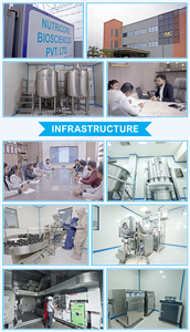 ייצור בהזמנה זמין, טבליות תוסף ברזל עם חומצה פולית באיכות מעולה, רב מכר, לשימוש גברים ונשים - Product Image 6