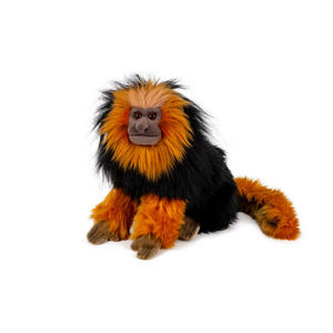 Tamarino Leone Dorato, Edizione Premium - Product Image 1