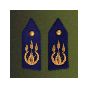 Set de Parches para Gorget, Cuellos y Parches de Solapa, Bordados a Mano en Encaje, Tela Ecológica de Alta Calidad, Insignia para Cuello de Gorget - Product Image 6