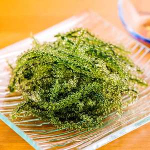 สาหร่ายแห้งคุณภาพสูงอร่อยอบแห้ง Seagrape - องุ่นทะเลสุขอนามัยและความปลอดภัยอาหารการบรรจุตามคําขอของลูกค้า - Product Image 6