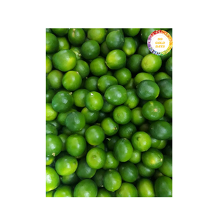 Lima fresca de primera calidad, cítricos naturales de Vietnam para bebidas, saborizantes culinarios y exportación al por mayor, industria alimentaria - Product Image 3