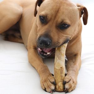 Bois de café écologique à mâcher disponible en différentes tailles durable, sûr et naturel/noeud de marée en bois de café pour chien à mâcher - Product Image 4